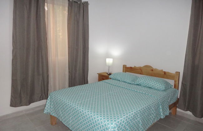 Tropical Paradise Apartment - Photo 3