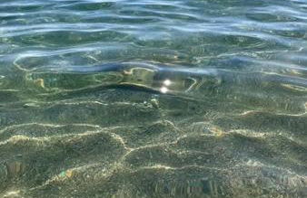 L’Oasi del Barone - Foto 35