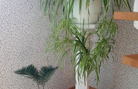 Ferienhaus "Auberge Jolie" - Foto 20