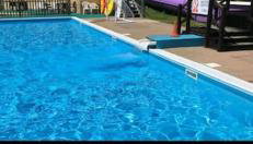 18 Sea Valley Bideford Bay Park Dean - Foto 3