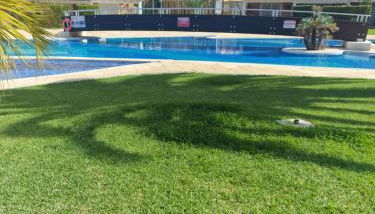 Tapas - Foto 1, Garden