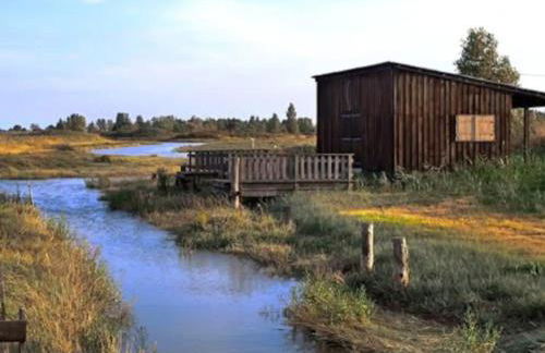 Villa Mimosas Le Verdon sur Mer - Foto 18