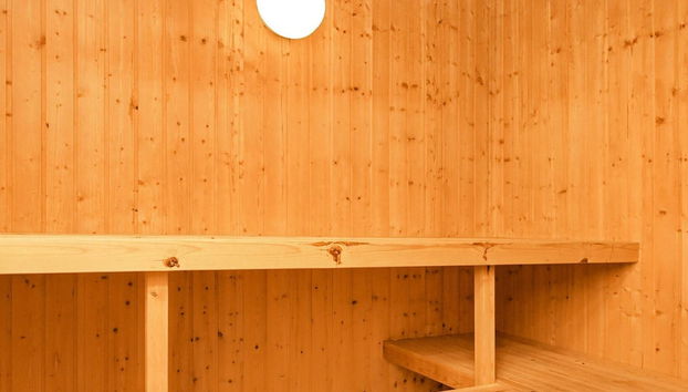 14 Person Holiday Home in Blokhus - Foto 5, Sauna
