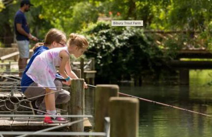 Large Stylish Luxury Cotswold Cottage - ideal for families, w/ EV charging - Foto 39