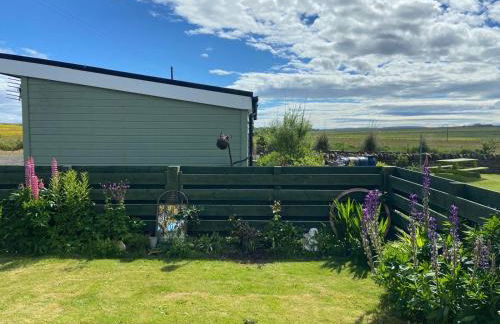 The Stable - NC500 - Photo 6