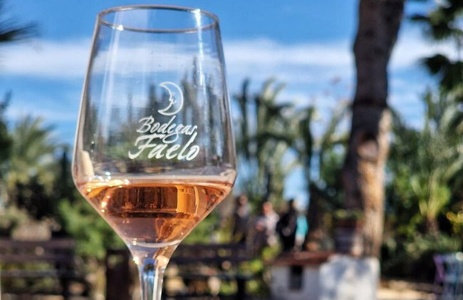 Alicante; Recorrido Vinícola Bodega Cata Vinos, Comida y Traslado - Foto 7