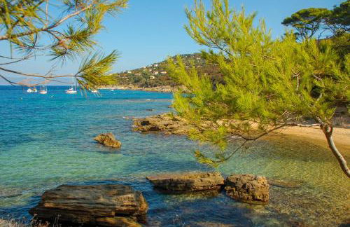 Absolument Levant - Foto 30