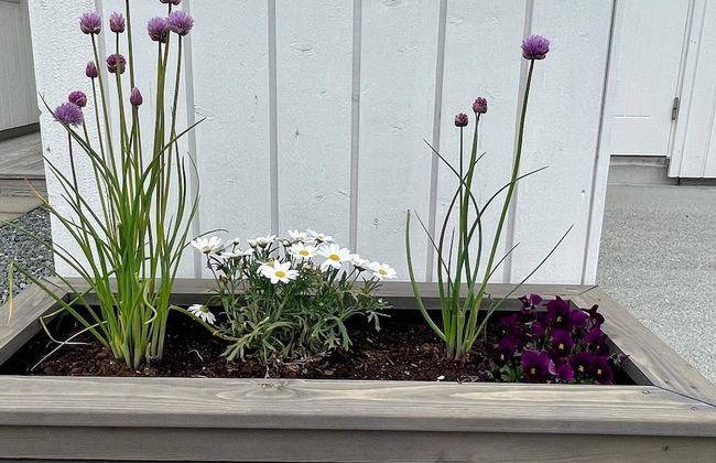 6 Person Holiday Home in Huglo-by Traum - Foto 43