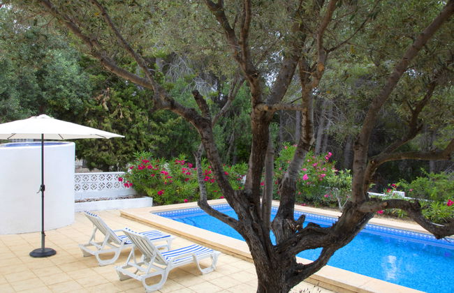 La Cigarra - Foto 20