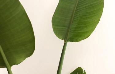 VIATOREM Suites - Foto 33