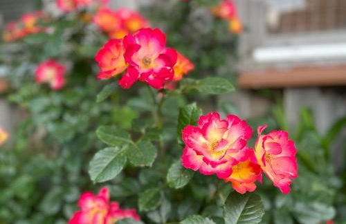 Siebenschläferhütte - Photo 25