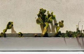 Apartamento Valencia - Foto 29