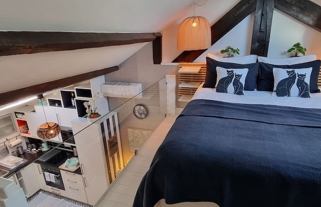 Studios with Mezzanine Rua da Moeda - Foto 14