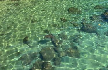 Angra dos Reis Pontal - Foto 15