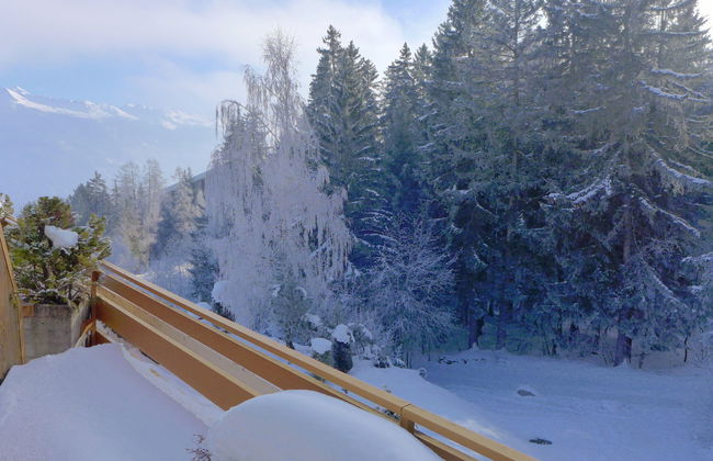 Terrasse Des Alpes 917 - Foto 38
