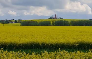 Ferienwohnung im Leuchtturmort Bastorf - Photo 14