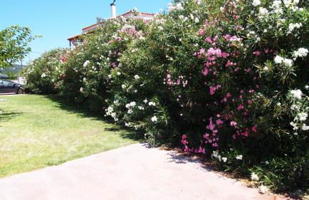 Dip In The Blue - 1 - Foto 39