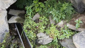 Chez Nave au pied du Meygal - Foto 4