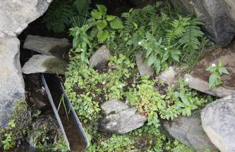 Chez Nave au pied du Meygal - Foto 4