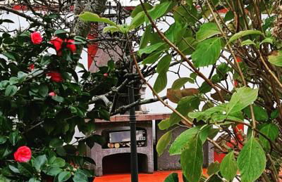 El Perlindango - Foto 23