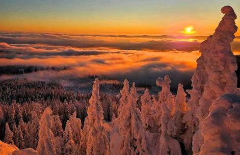 Ferien im Kühbergstadl - Foto 36