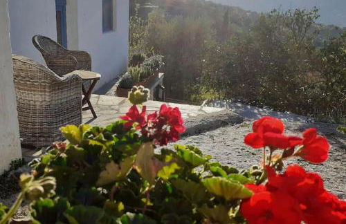 Flower house - Foto 34