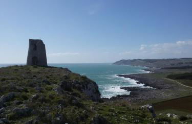 Fata Morgana - Foto 32