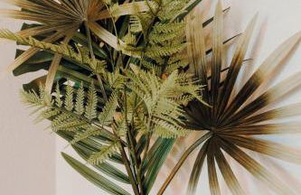 WohnungTraveller Saarlouis nahe Innenstadt - Foto 28