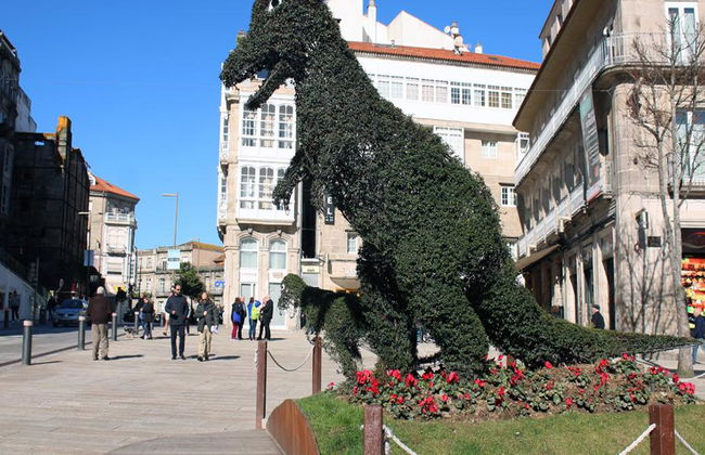 Tour Privado por Pontevedra - Foto 1