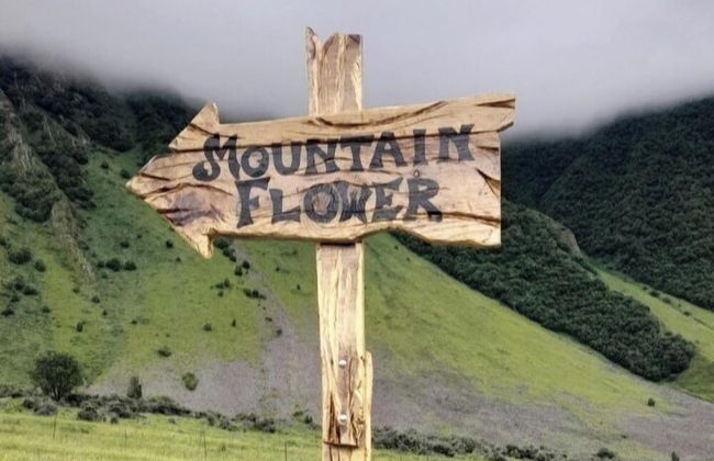 Mountain Flower cottage - Foto 29