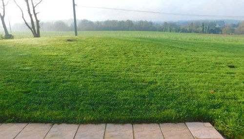 TY Anne - Photo 4, Garden