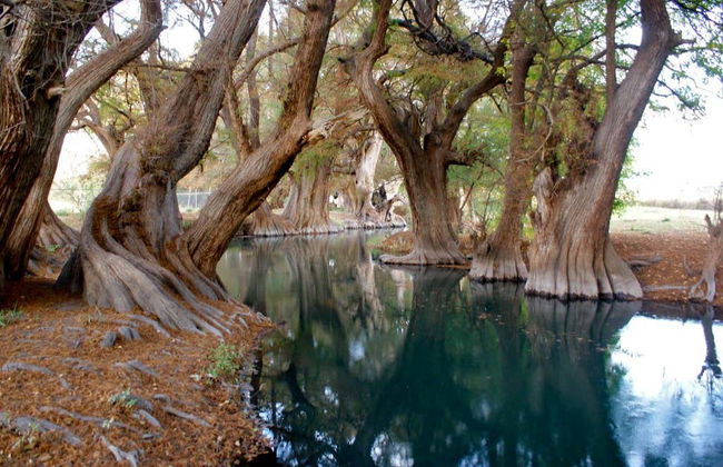 Cathedral of Our Lady of Guadalupe & Lake Camécuaro Tour - Photo 1