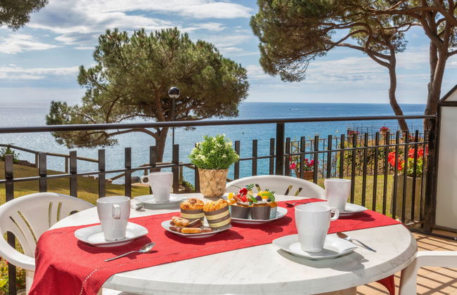 Cavall Bernat - Foto 13