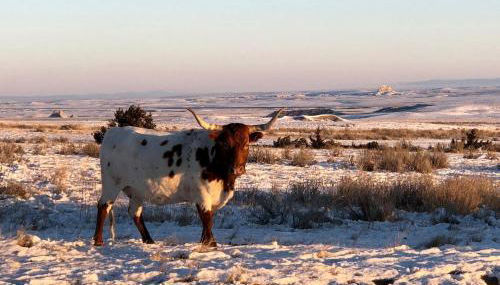 Cozy Cottage Rental for Six on a Working Ranch in Crawford, Nebraska - Foto 5