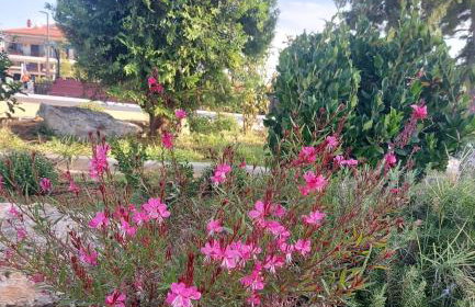 New, nice apartment, 50m from sea and from Center at Nea Irakleia - Foto 15