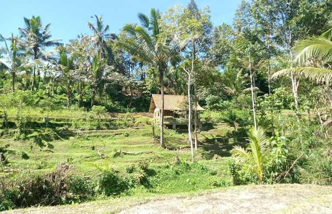 duegoal farmhouse - Photo 37