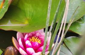 Oberberghof - Foto 40