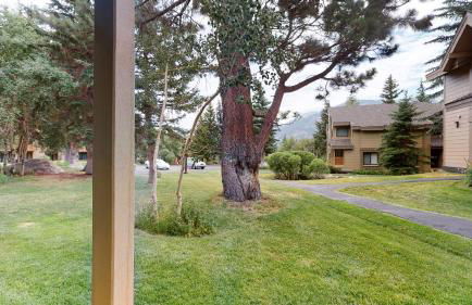 Snowcreek 253 Apartment - Photo 28