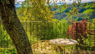 Casa do Comediante - Foto 4, Garden