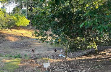 Chale Cabana Anita em Blumenau - Foto 20