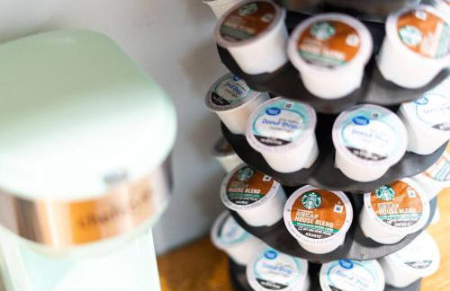 Cacti - Cactyou - Cactus - Foto 12