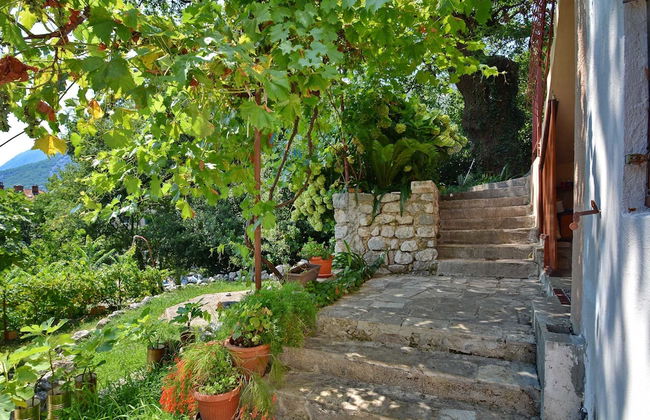 Apartments Risan Center - Foto 57