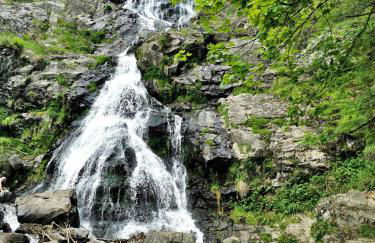 Apartment 16 - Ferienresidenz Roseneck, Galeriewohnung, mit Schwimmbad in Todtnauberg bei Feldberg - Foto 16