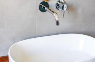 Helianthus - Photo 27