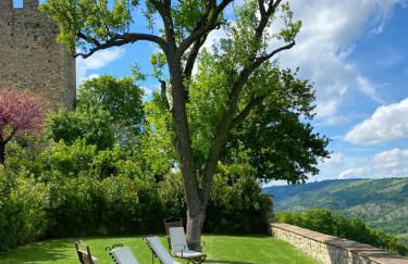 Castello di Viano - Foto 38