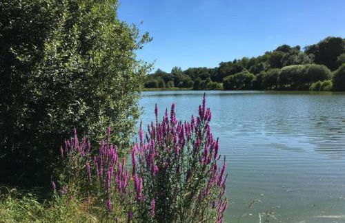 Holiday Home Saint-Laurent Pool Retreat - Foto 35