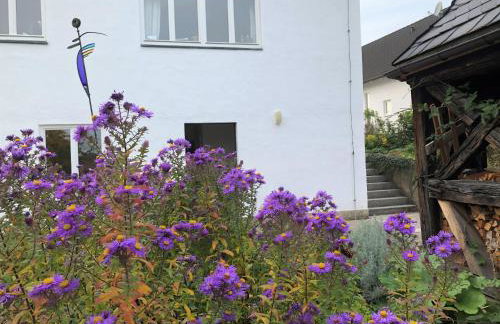 Ferienoase am Schwürbitzer Dom - Foto 24