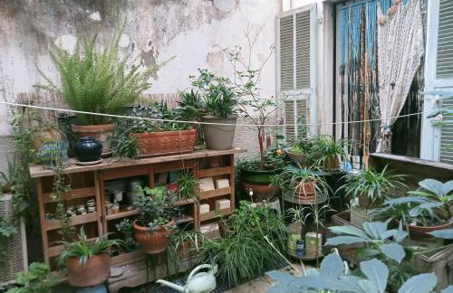 Un jardin en Ville - Photo 16