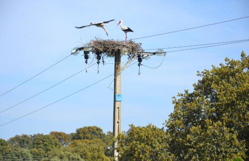 Apartamentos Rurales Natura - Foto 17