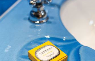 Orangerie St Paul - Foto 17